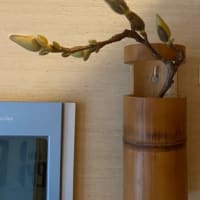 いけ花　東海桜　スイートピー