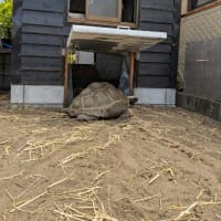 クリンへの想いは尽きなくて・・295
