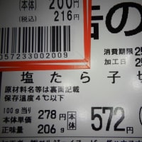 バック・トゥ・ザ・フューチャー　な　未来から来た　タラコ！　