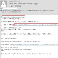 差出人「IBKR FYI」から「メールアドレスのご承認」という意味不明のメールが来ました。