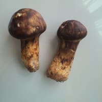 秋の味覚