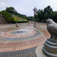 久しぶりの相模原公園