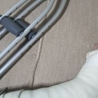徳永英明さんの「ALL BEST3 」倉敷市民会館のコンサートに行って来た！！(#^.^#)