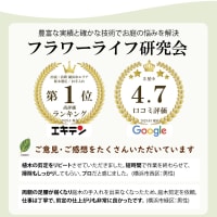 ジャングル状態のビル裏を一新！雑木と雑草を取り除いてスッキリ快適な空間へ