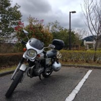盟友の墓参り