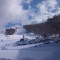 ゲレンデの様子