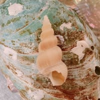 これって？