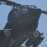 令和七年度六月期　陸海空自衛隊主要行事実施詳報(2025.06.14-2025.06.15)