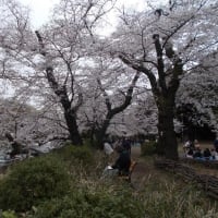 井の頭公園＾＾。
