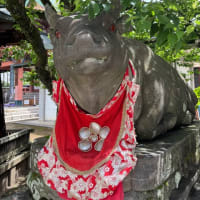 京都の隙間に行った場所とグルメを