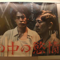 『雨の中の慾情』