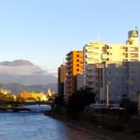 今朝の岩手山、志和三山と秋桜