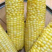こんなようすです　　夏本番