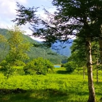 朝方は涼しいですが・・・