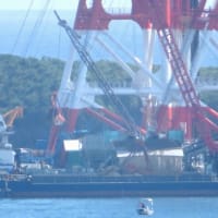 3月12日の大浦湾と辺野古側埋め立て工区の様子