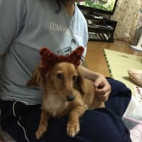 くすくす