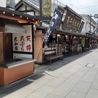 「男はつらいよ 花も嵐も寅次郎」ー２