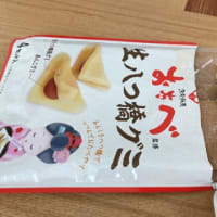 生八ツ橋グミ？！