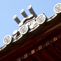  四国ひとり旅-7（前置き）道後温泉2　伊佐爾波神社・松山神社