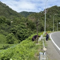 浅川ダム直下、花ももの里の土手の草刈りをしました！月齢25.7のお月様