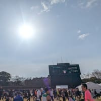 第４２回佐倉マラソン大会－そしてシーズン終了－