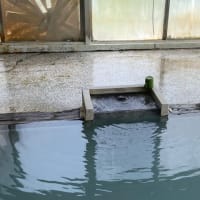 白茶灰茶緑からのブー　新潟の湯旅　燕温泉　花文　ＮＯ１１１１　