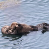 のんびり・・