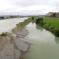 京王線で多摩川を渡る