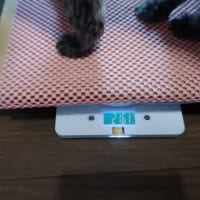 お医者さん通いで忙しいもん！