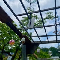 満願寺まで吹かれて｡｡
