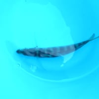 やっぱ海はいいね～