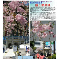 施設案内東京-525　東京・霞ヶ関の建物　