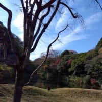 もう12月5日になりますが～