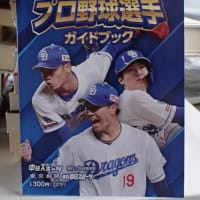 プロ野球選手ガイドブック　　中日新聞社2024年刊