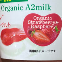 みことヨーグルト、、今回の仕入れ分で終売になります。