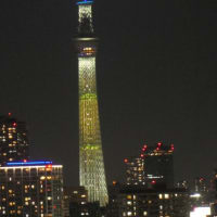日向坂46の虹開催記念特別ライティング31