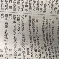 南日本新聞文芸壇