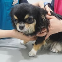 久しぶりの病院♪