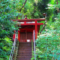 町田「薬師池公園」内に鎮座する「野津田薬師堂」