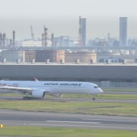JAL　A350-1000初号機