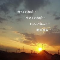 箱根で