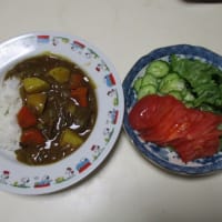 質素に少量-今日も元気----エビチリ、日向夏、デコポン、鮭の干物、竹輪、カレーうどん、カレーライス、雑炊