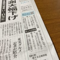 鯉のぼり🎏とカープ