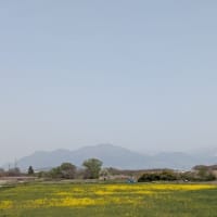 千曲川を歩いて渡る。