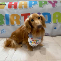 誕生日