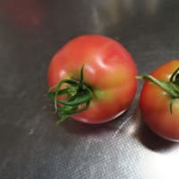 お盆まっさい中、炊屋食堂もお盆まっさいちゅう・・・