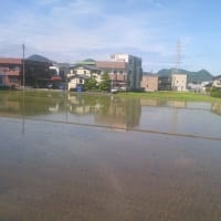 ローカル線