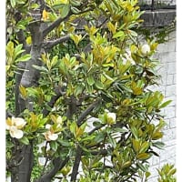 今日いち-2025年5月21日