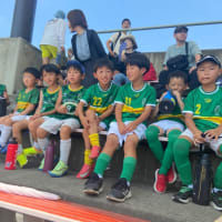 土日総括