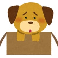 信じないけど、妄想